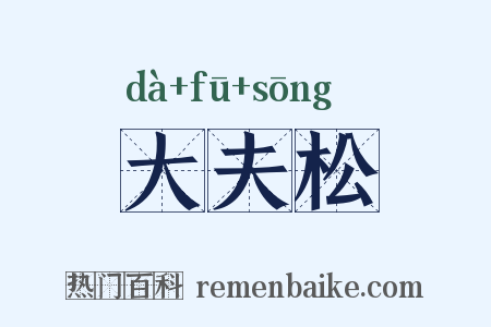 大夫松是什么意思的图片